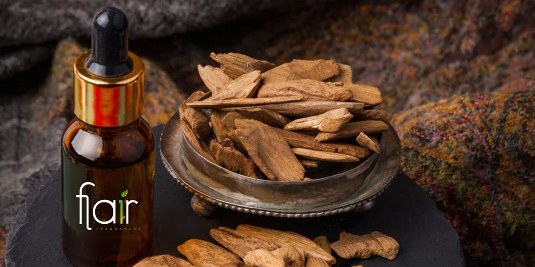 I profumi con nota di oud: origine, caratteristiche e perché dividono